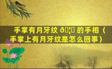 手掌有月牙纹 🦟 的手相（手掌上有月牙纹是怎么回事）